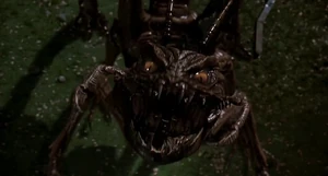 Edgar after eating K