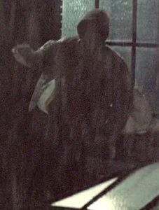 Gerald Demus Rain.jpg (168 KB) Making it onto the roof.