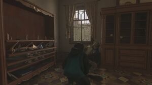 Hadir speaking to his dying father.