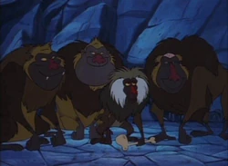 Imagejunglecubsmnjf.jpeg (342 KB) Mahra with her sons Ned, Jed and Fred.