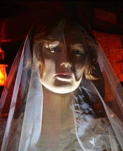 Bride (The Conjuring Universe) | Villains Wiki | Fandom Bride (The Conjuring Universe) | Villains Wiki | Fandom