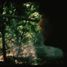 Jack Anders Villains Wiki Fandom