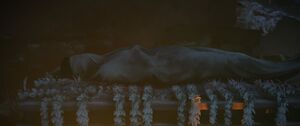 Bode's corpse.