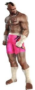 Tekken 5: Dark Resurrection portrait.
