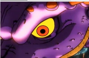 Draconariusojo.jpg (23 KB) Dragonlord's eye from the Dragon Quest BRV intro.