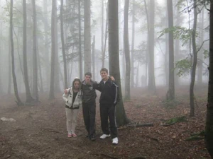 Slender man standing in the background in the fog.
