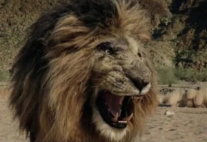 20221022 094231.jpg (191 KB)