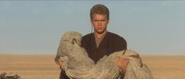 Anakin returns to the Lars homestead with his mother's body.