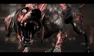 Zombie Dog C.jpg (35 KB) A zombiefied dog infect by C-Virus