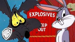 Looney Tunes Coyote Vs Rabbit