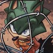 🕶️Scourge the hedgehog🕶️, Wiki