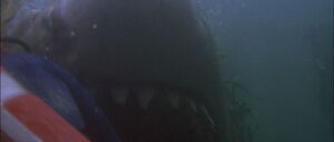 Jaws2-movie-screencaps com-7912