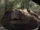 Anacondas (Lake Placid vs. Anaconda)