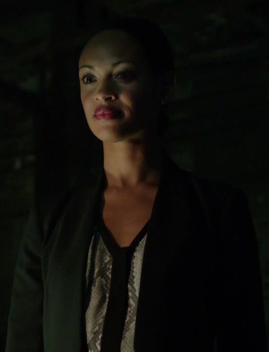 Amanda Waller, Villains Wiki