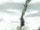 Phalanx (Shadow of the Colossus)