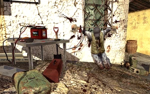 A tortured Rojas in "Hornet's Nest".