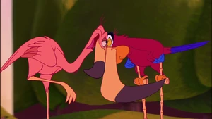 Iago face-to-face with a flamingo.