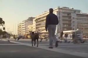 Chandler tracking Benji down with his dog.