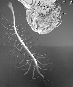 Tumblr cab7ebdd6030d8fd560ecb26fc1f4262 85cf4e8d 1280.jpg (579 KB) The source's initial encounter with Ymir.