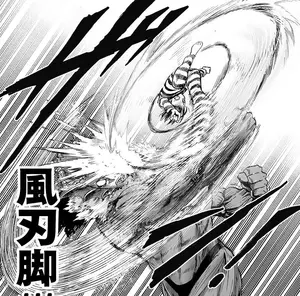 Wind Blade Kick.webp (256 KB)