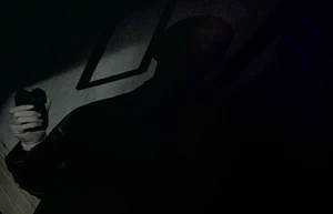 Gerald Demus Shadow.jpg (148 KB) Demus’ shadow after tasing Thomas.