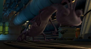 Randall follow the trail.