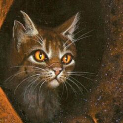 Ashfur, Warrior Cats Villains Wiki