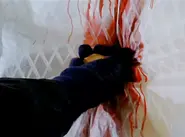 Berardi killing Sara Levi