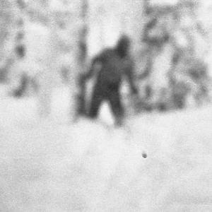 Dyatlov Pass Yeti.png (174 KB)