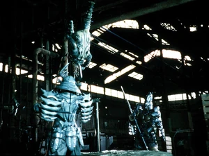 Rhinoceros Beetle Orphnoch 3.jpg (170 KB)