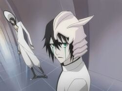 Ulquiorra and Nnoitra