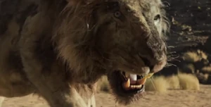 20221022 094150.jpg (231 KB)