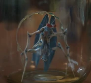 Eek Stack Ik Ik † - Queen