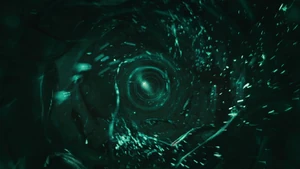 The piranhas entering in the pipe system, into the Big Wet water park.