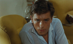 Purple noon tom riply