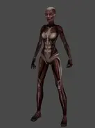 Bacon Lara (2007 Anniversary).webp (22 KB) Tomb Raider: Anniversary