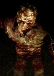 Leonard-wolf-8027-Profile