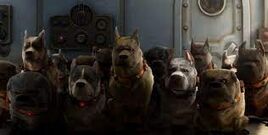 Muntz's Dogs