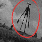 SirenHeadCircled.jpg