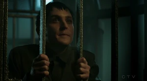 Penguin imprisoned by the Court of Owls