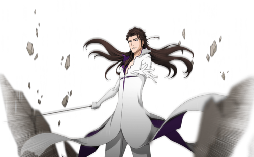 sosuke aizen/time-skip muken in 2023  Bleach anime art, Bleach characters,  Bleach manga