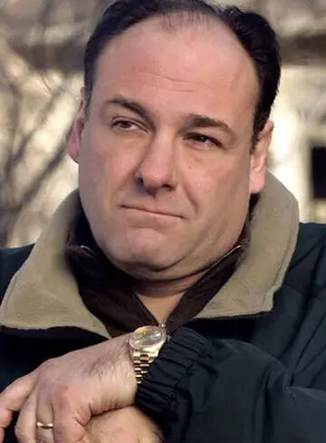 Tony Soprano | Villains Wiki | Fandom