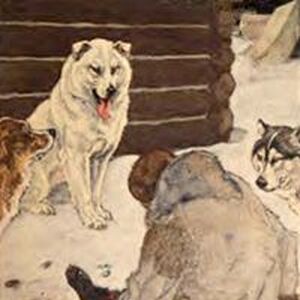 Spitz Gallery Villains Wiki Fandom
