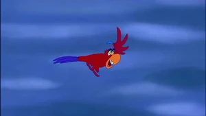 Iago flying.