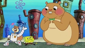 Sandy unable to see Cuddle's existence.