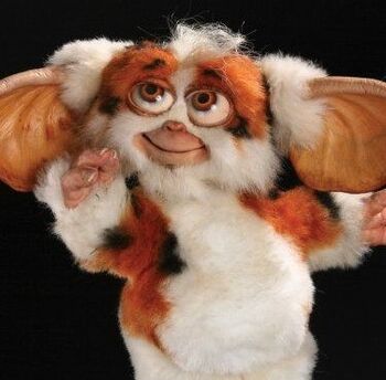 Mogwai Form