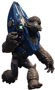 A Blue Unggoy Conscript in Halo: Infinite.