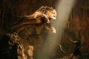 Hercules Vs. The Lion.jpeg (142 KB) Hercules battles the beast.