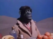 Ture as an ape.