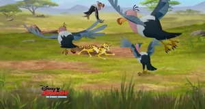 Imagetlgtsfumzingoflockfuli.png (983 KB) Mzingo and his flock surrounding Fuli.